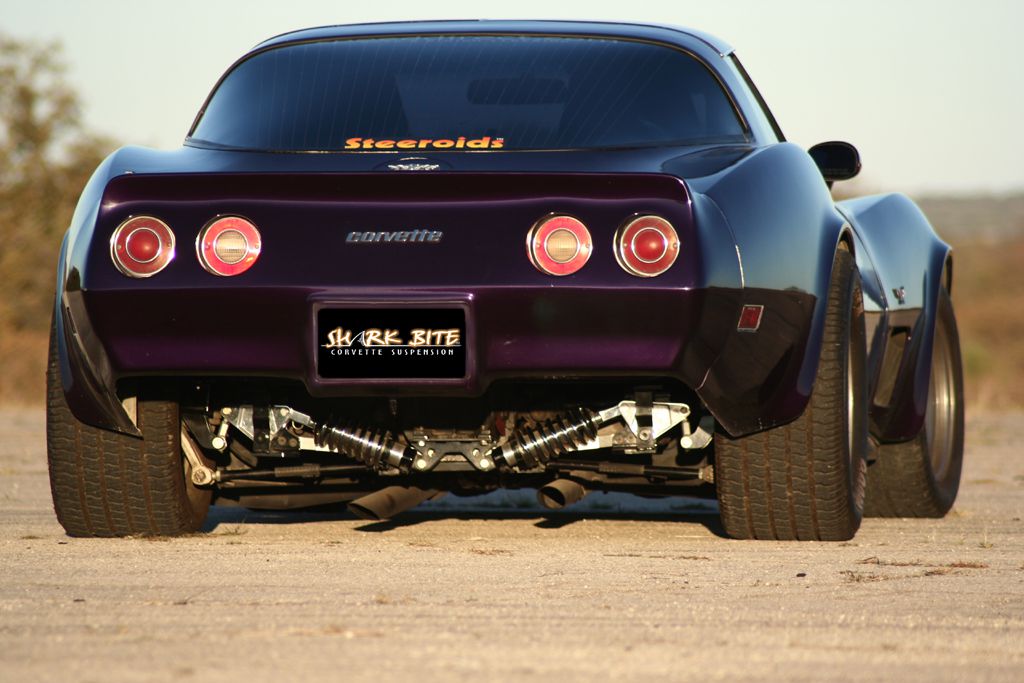 SharkBite Rear Coilover In Action