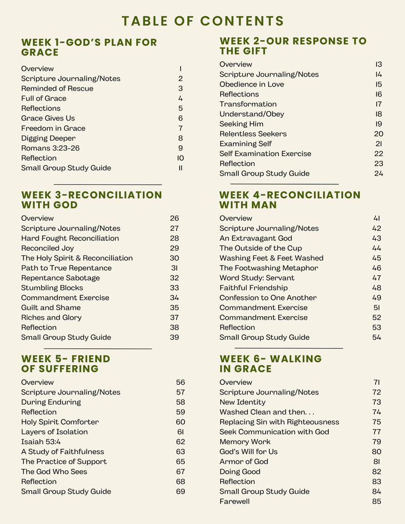 StirDevotion study guide - Passover
