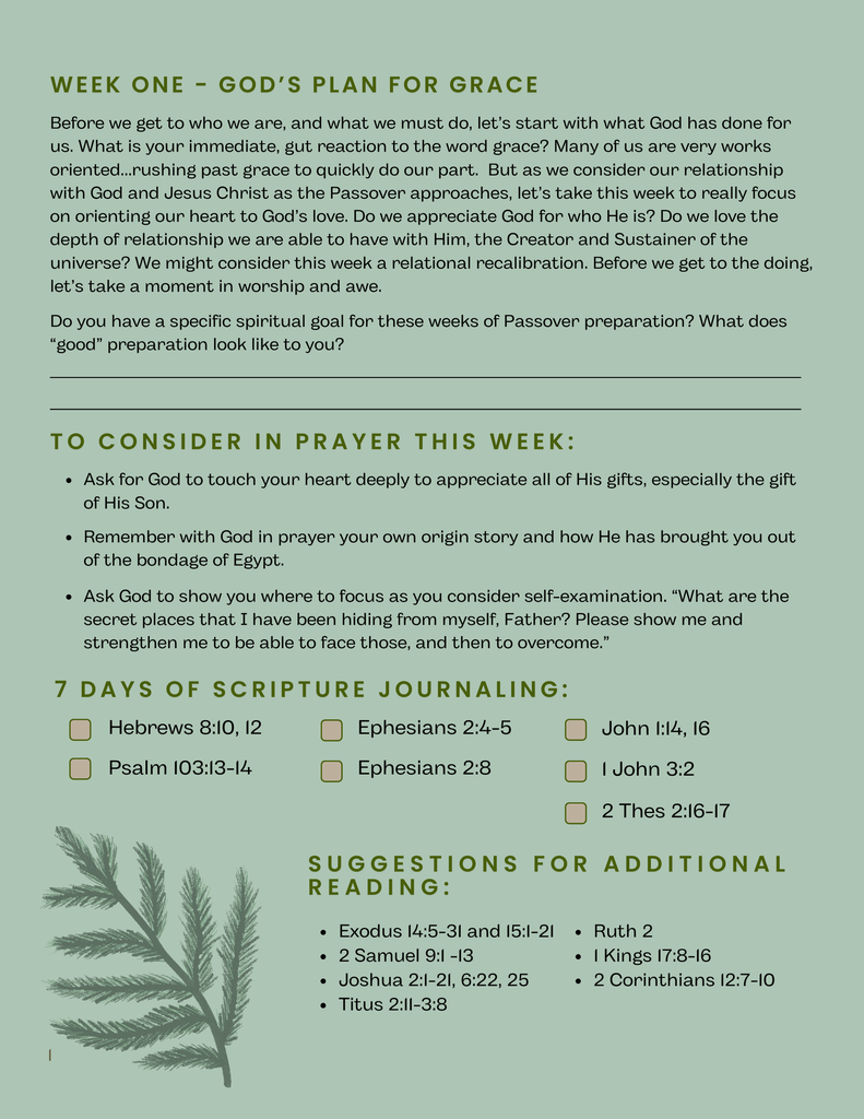 StirDevotion study guide - Passover